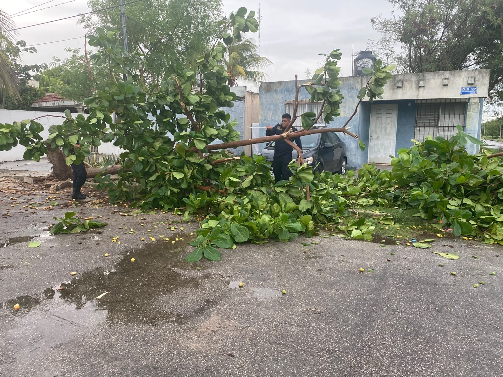 SSP ATIENDE 246 REPORTES TRAS LAS LLUVIAS EN MÉRIDA Y MUNICIPIOS DEL INTERIOR
